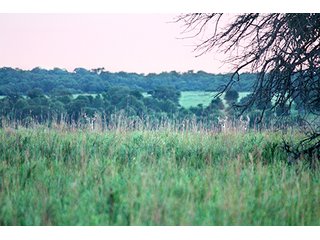 Property photo 13 - LARGE KANSAS AUCTION - 7,672+/- ACRES OFFERED IN 12 TRACTS IN CHAUTAUQUA COUNTY, KANSAS